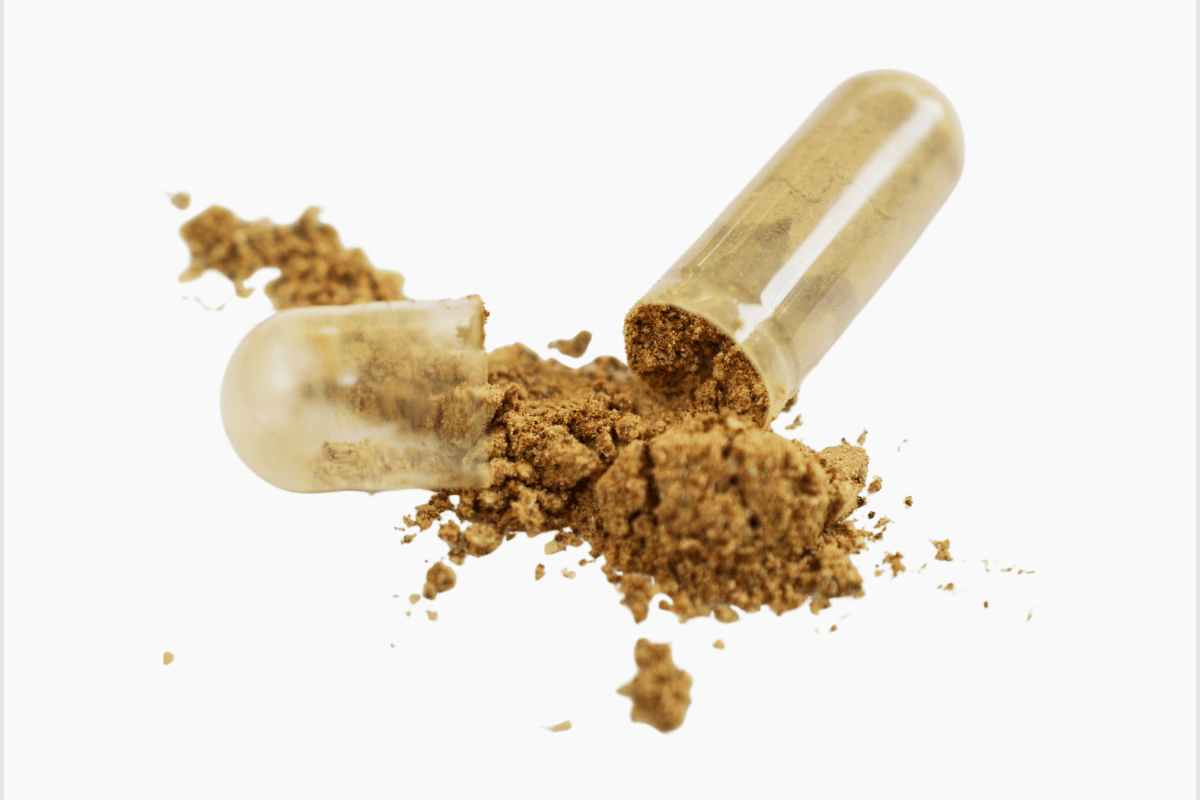 Brain Support supplements