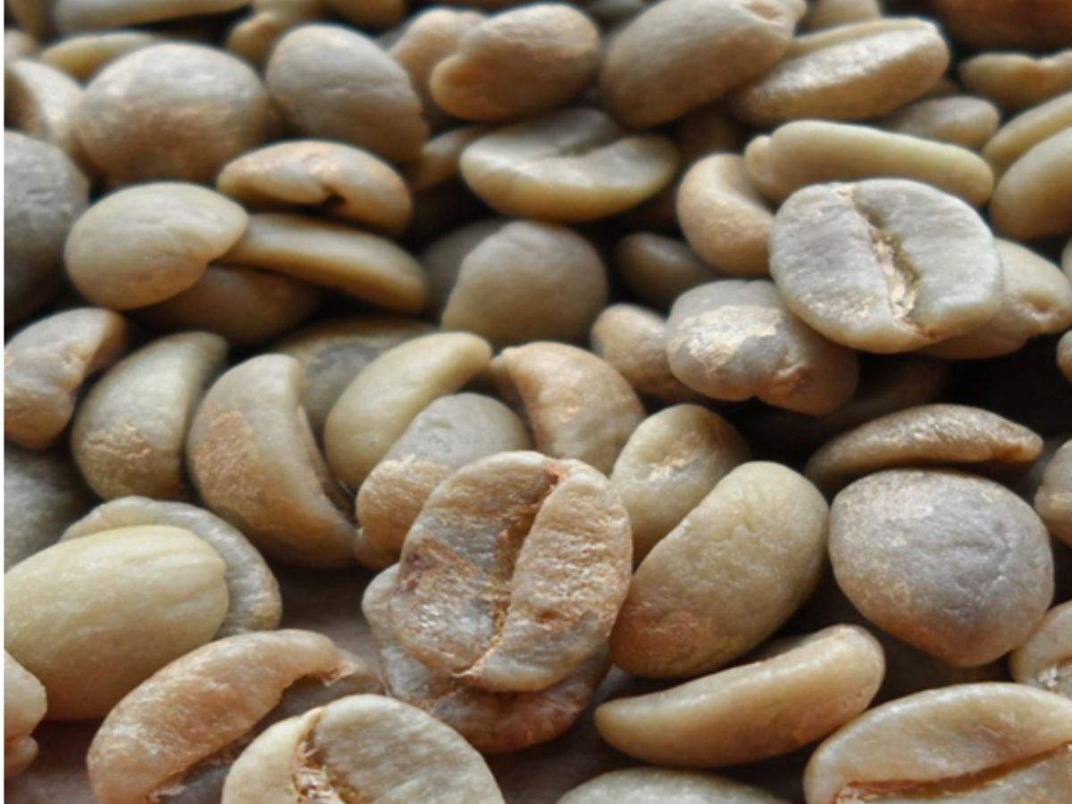 Raw green coffee bean extract