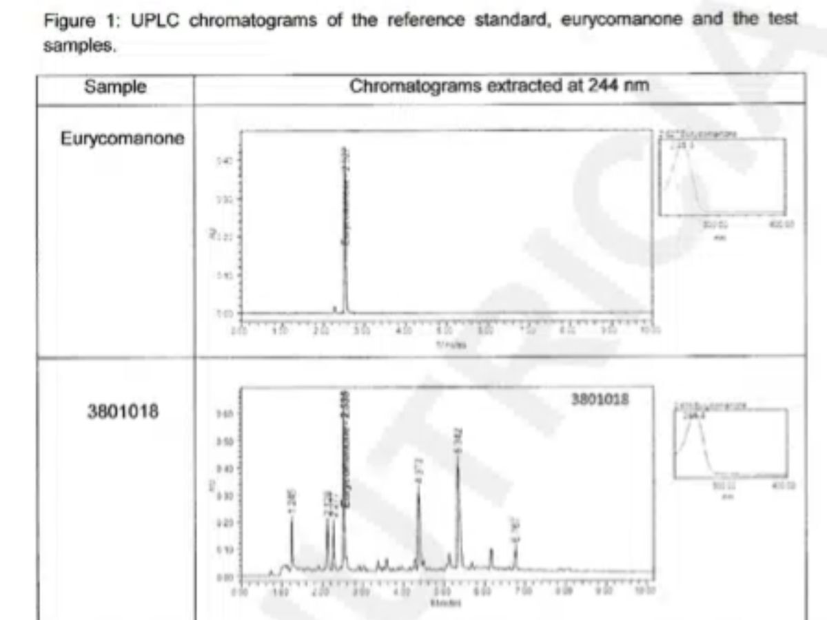 Chromatographic profile of eurycomanone and Tongkat Ali extract