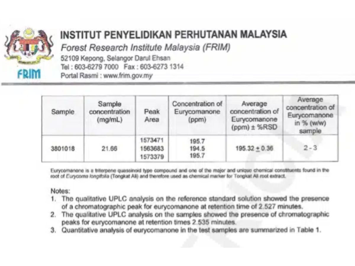 Excerpt from analytical verification documentation